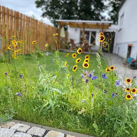 Ferienwohnung Am Waldrand Tharandt Exterior foto